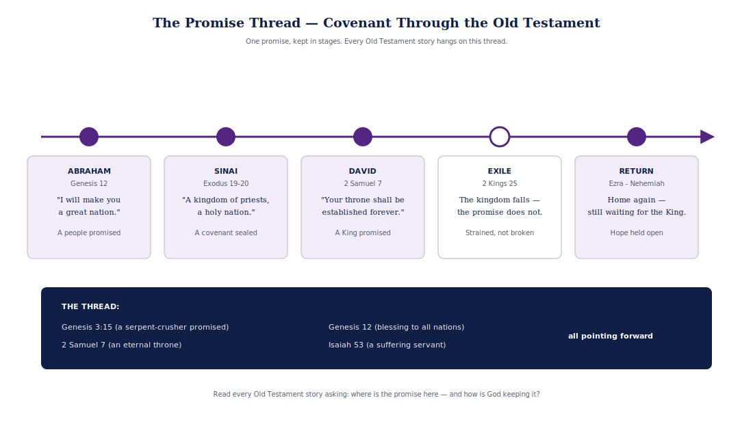 The One Storyline timeline